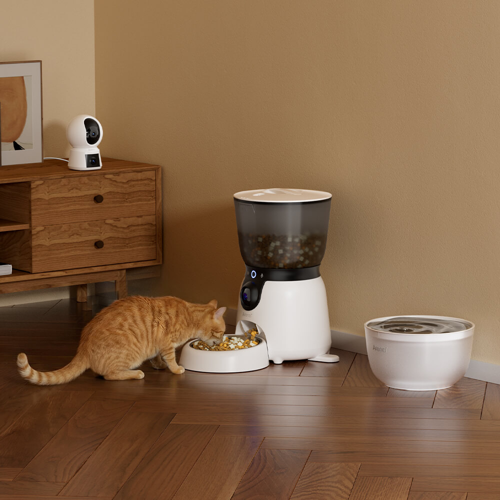 Smarter Futterautomat mit neigbarer Kamera