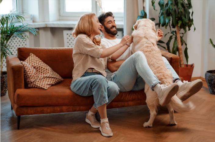 The Best Indoor Home Security Cameras In 2023-Arenti EU