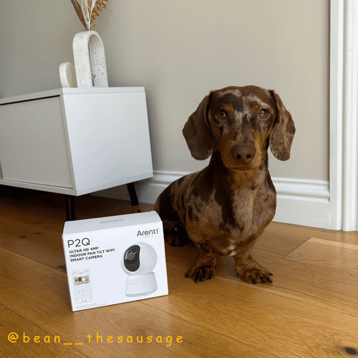 How To Reset Arenti Camera?-Arenti EU