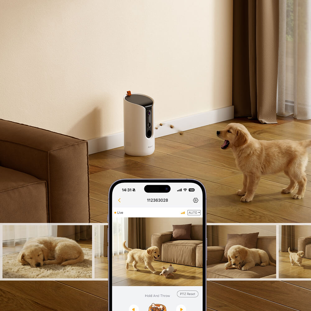 Arenti Dog Treat Camera Petcam3T 2,4 und 5,8 GHz Dual-Band Wi-Fi