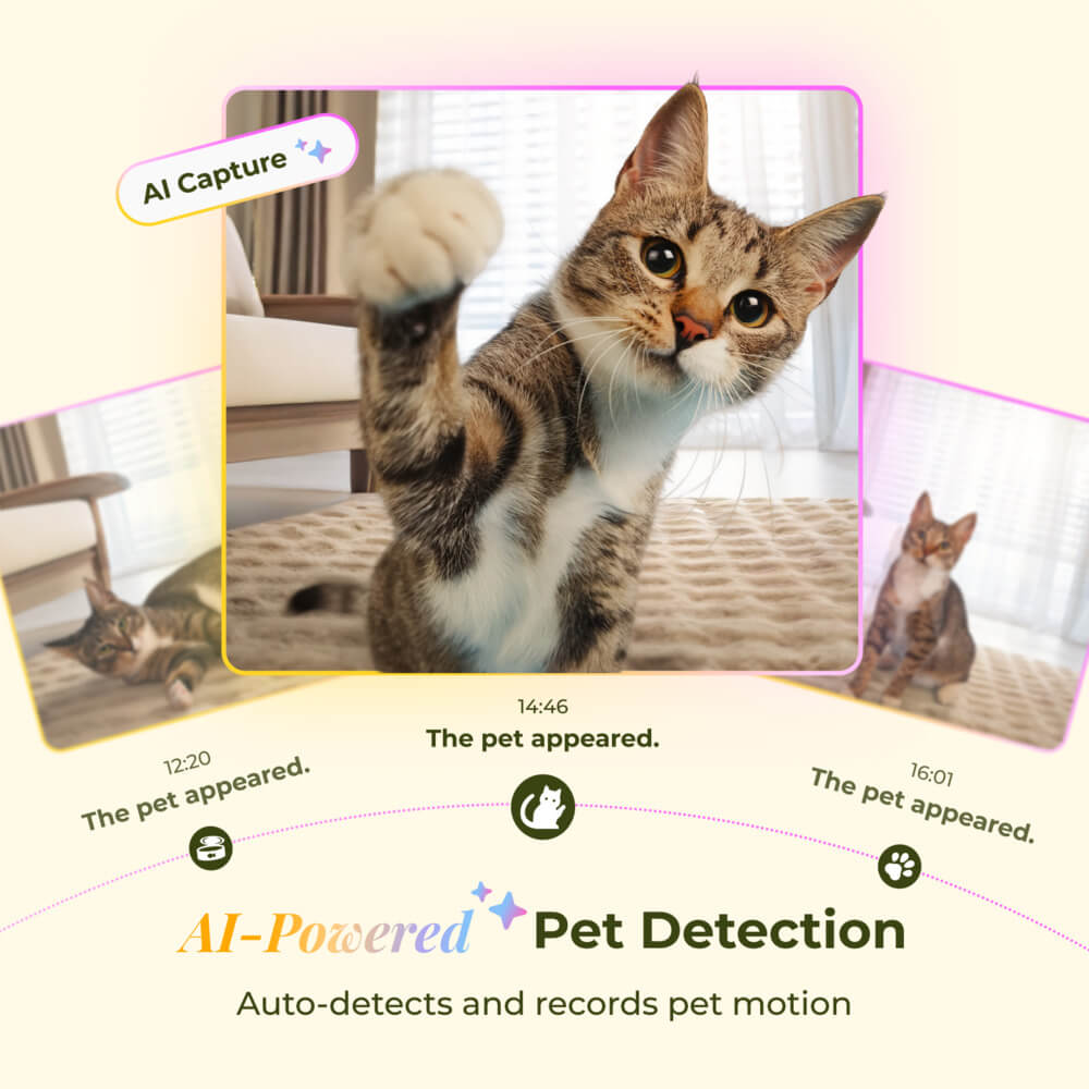 Smarter Futterautomat mit neigbarer Kamera