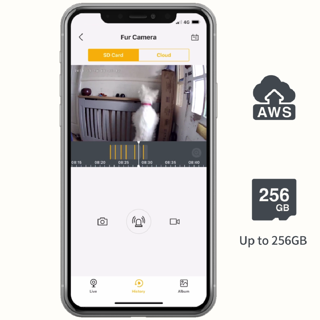Arenti P2F Kabelgebundene Innenkamera 5 MP UHD Schwenken-Neigen 2,4 und 5,8 GHz Dual-Band Wi-Fi Ideal für Babyphone / Haustierkamera-Arenti EU