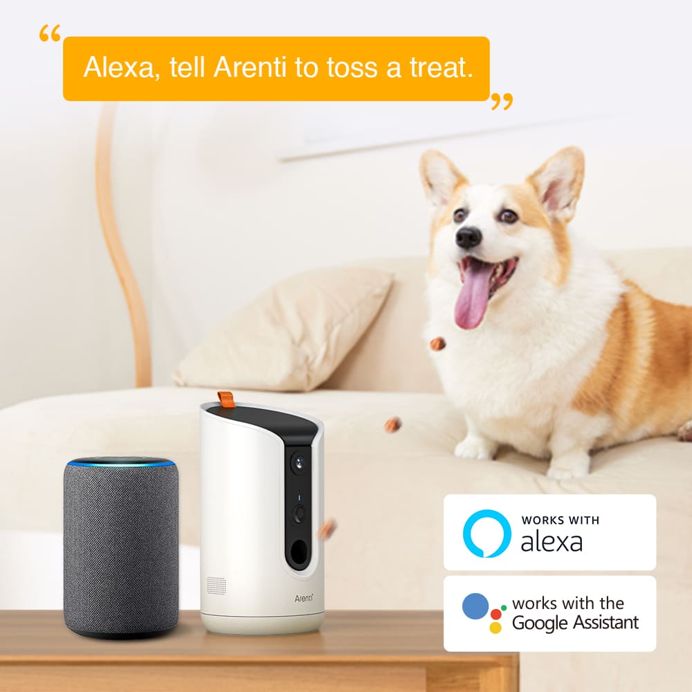 Arenti Dog Treat Camera Petcam1T 2,4 und 5,8 GHz Dual-Band Wi-Fi-Arenti EU