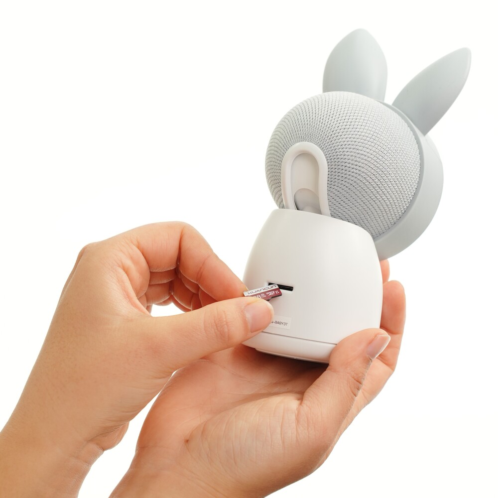 Arenti 128GB Basic microSDXC-Speicherkarte-Arenti EU