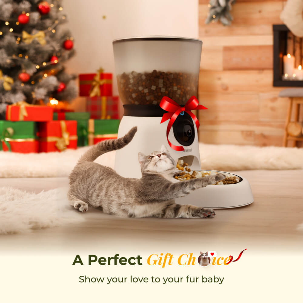 Smarter Futterautomat mit neigbarer Kamera