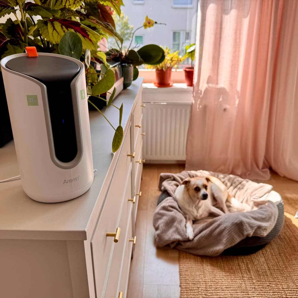 Arenti Dog Treat Camera Petcam3T 2,4 und 5,8 GHz Dual-Band Wi-Fi