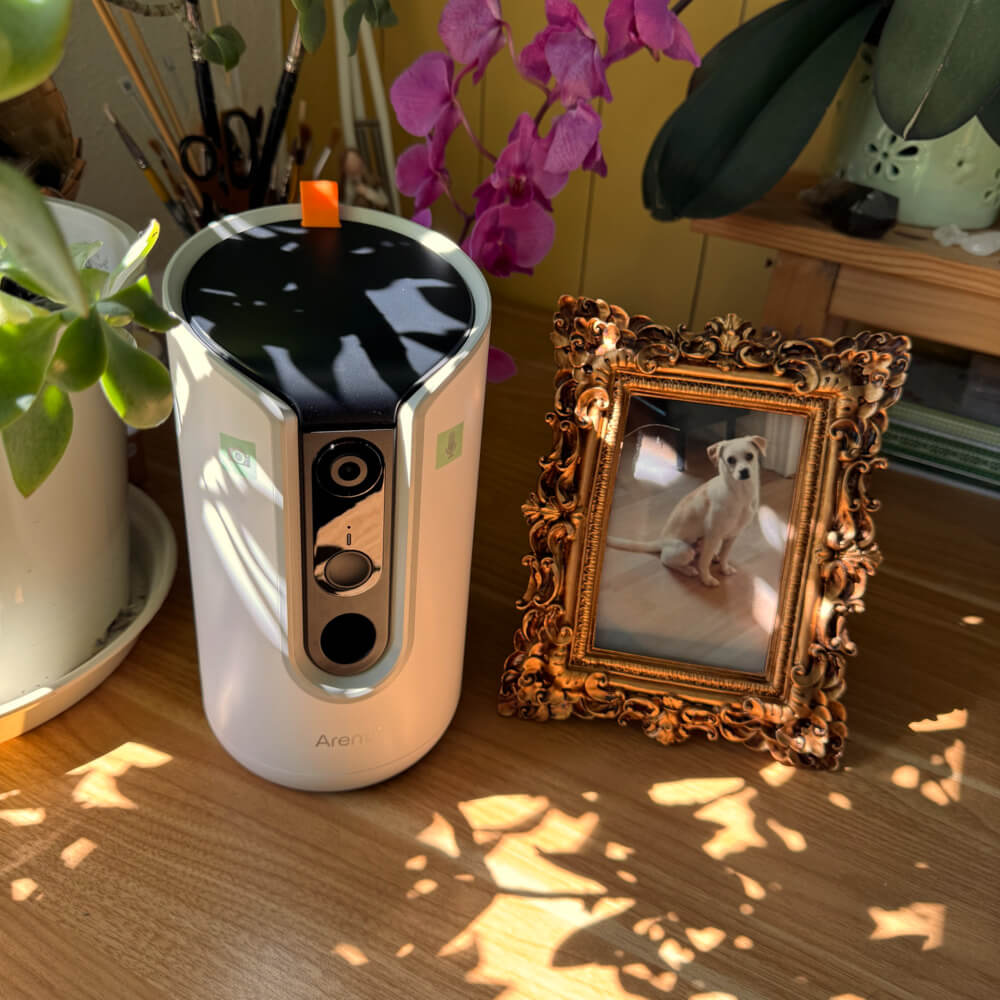 Arenti Dog Treat Camera Petcam3T 2,4 und 5,8 GHz Dual-Band Wi-Fi