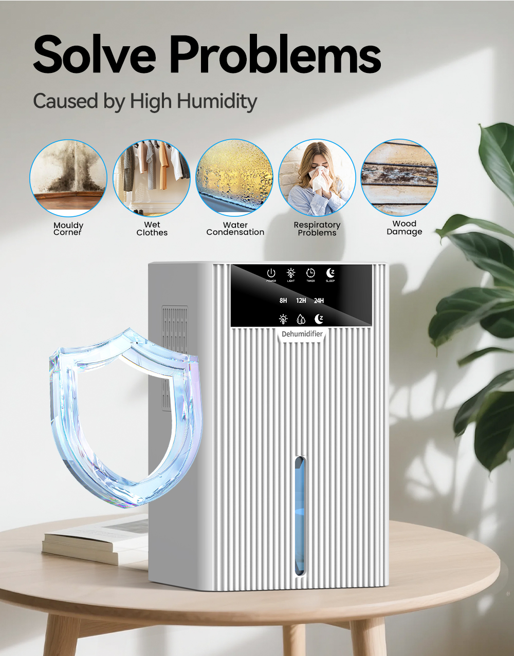 Dehumidifier B30