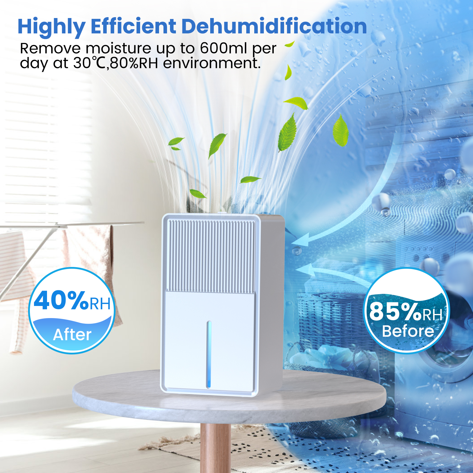 Dehumidifier B631-1