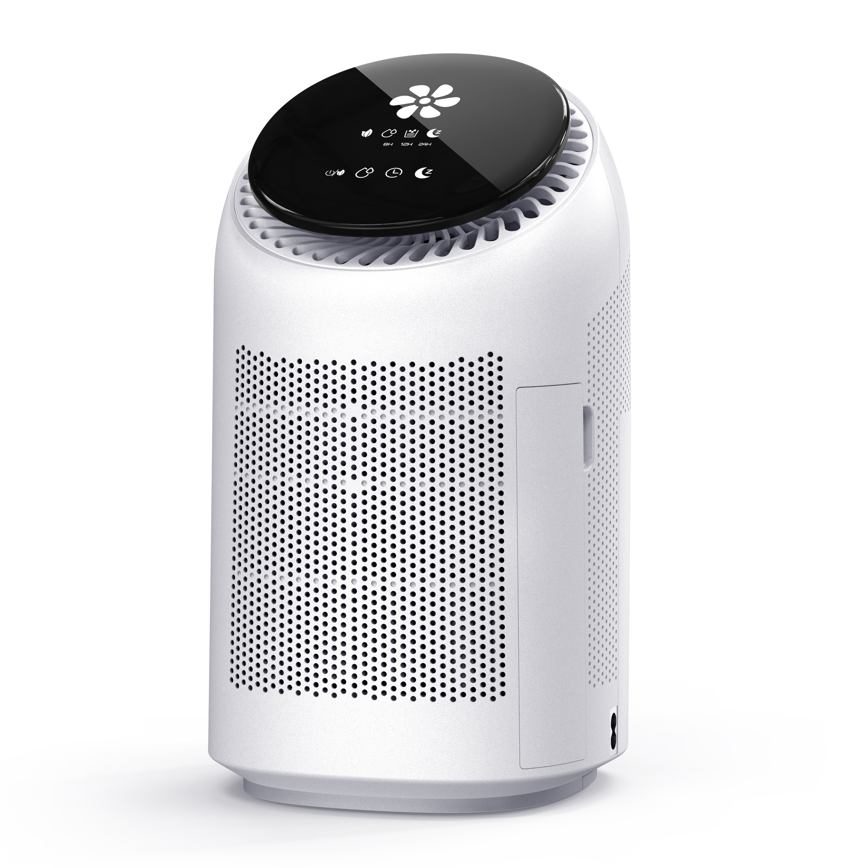 Dehumidifier and Air Purifier 2-in-1
