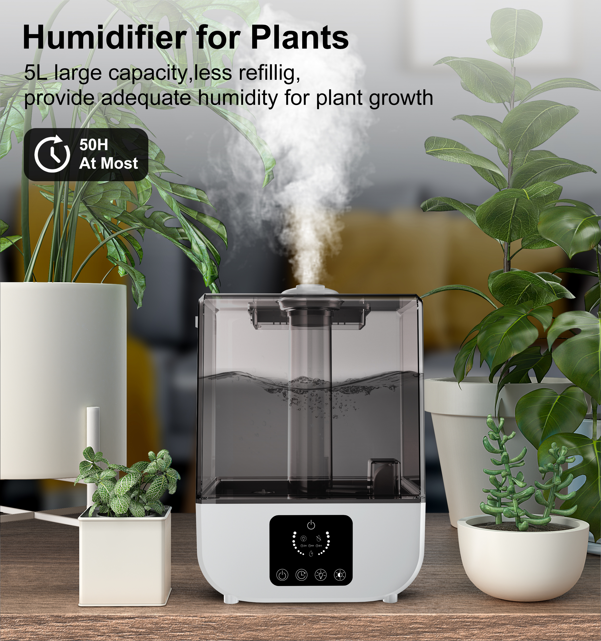 Humidifier 2010