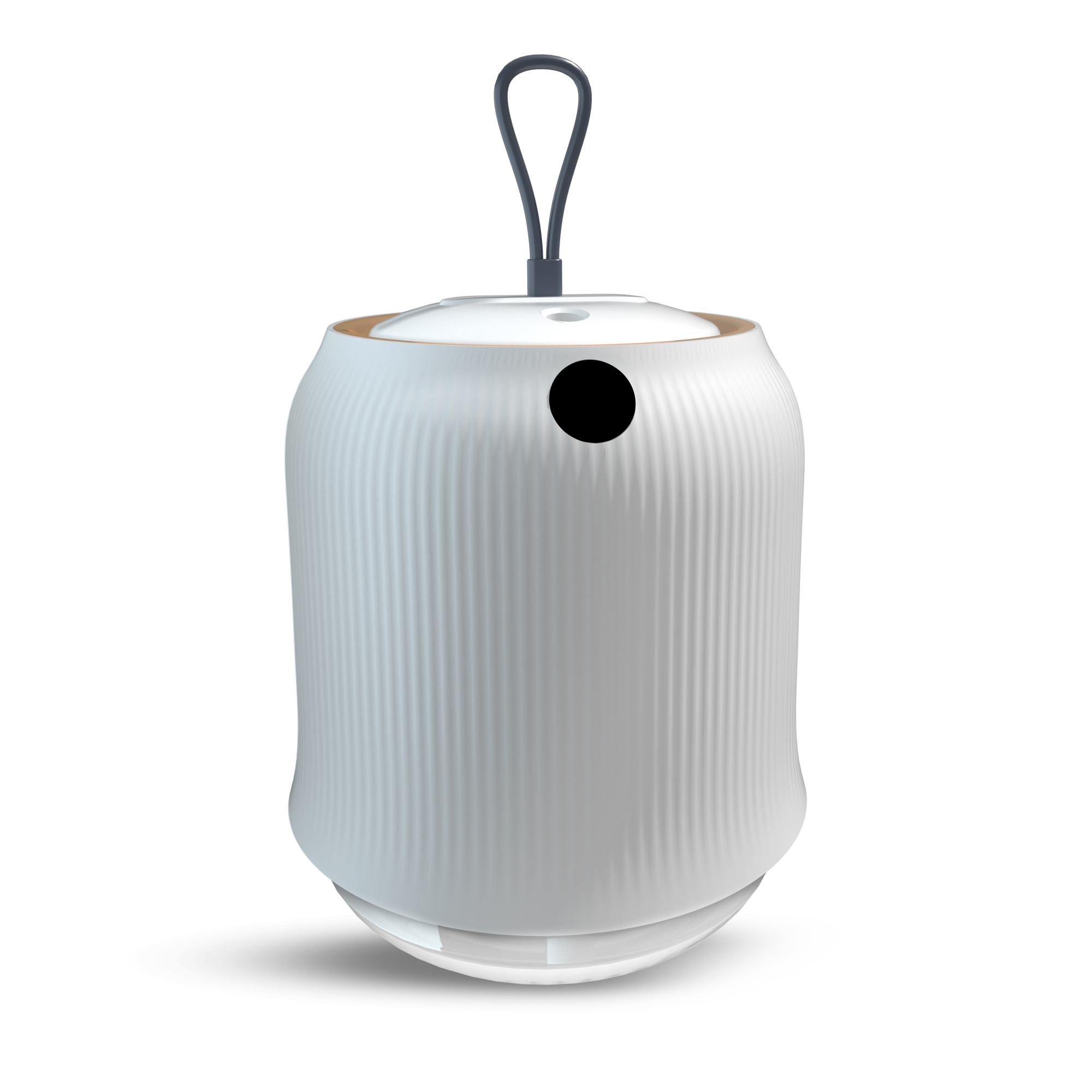 Humidifier YP2210