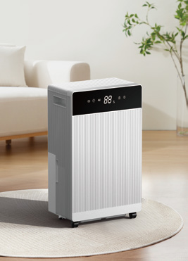 Compressor Dehumidifier Y11-15A