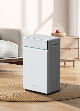 Compressor Dehumidifier Y11-16A