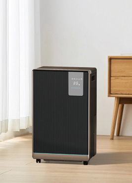 Compressor Dehumidifier Y11-18A