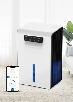 Dehumidifier HB641-3