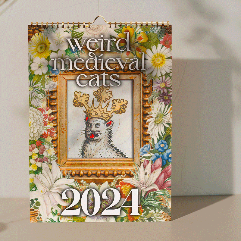 🔥🔥Hot Sale 50% OFF🐱Weird Medieval Cats Calendar 2024📅