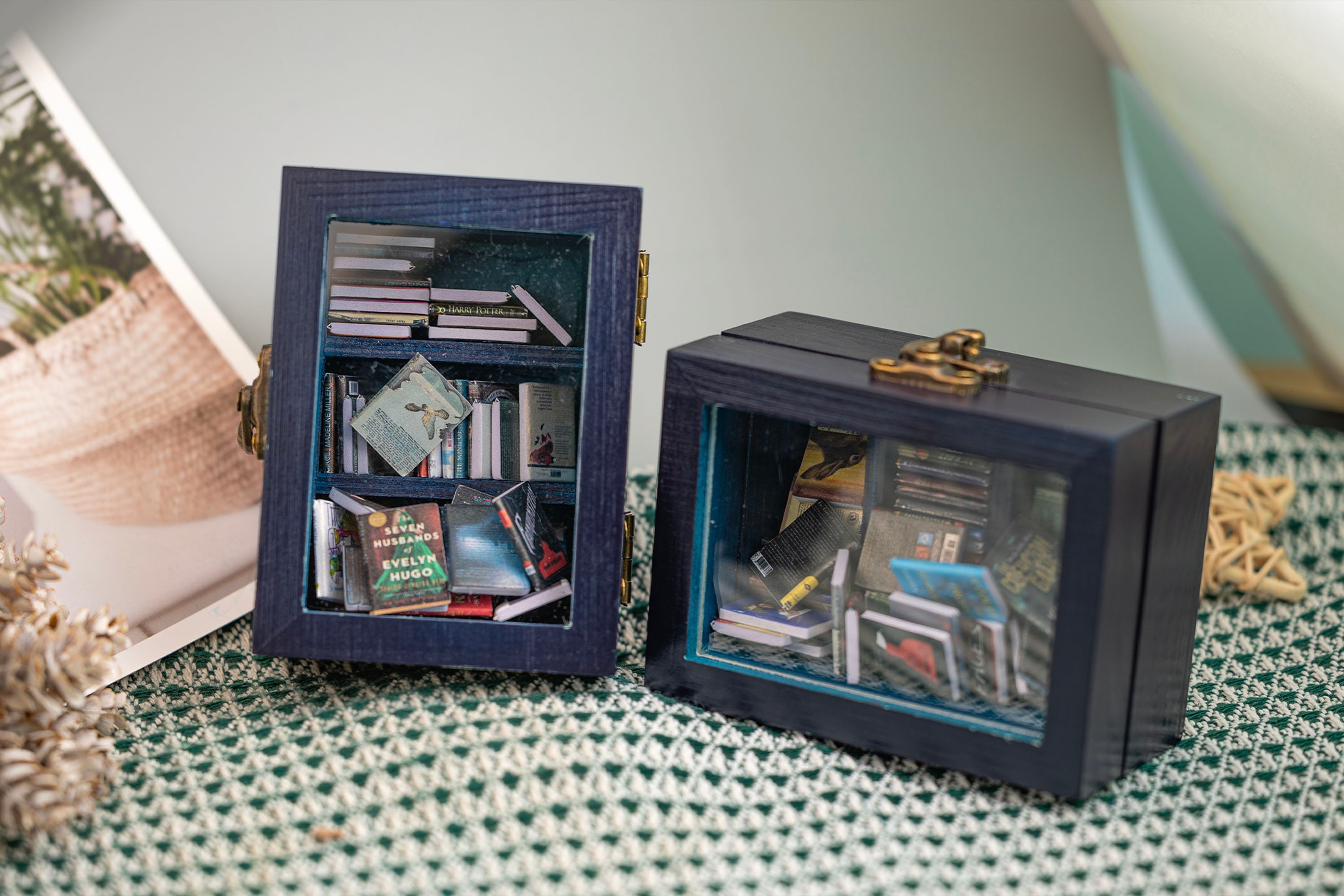 Vintage Pocket Edition Anxiety Bookcase
