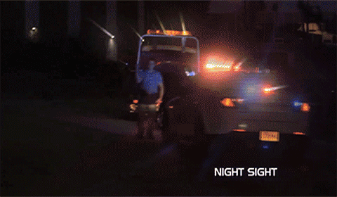 111_20.gif