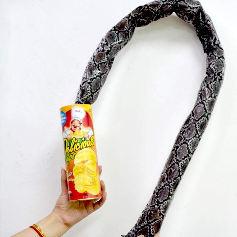 Șarpe care sărită cu chipsuri de cartofi