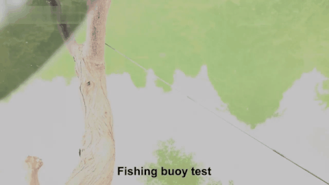 111_33.gif