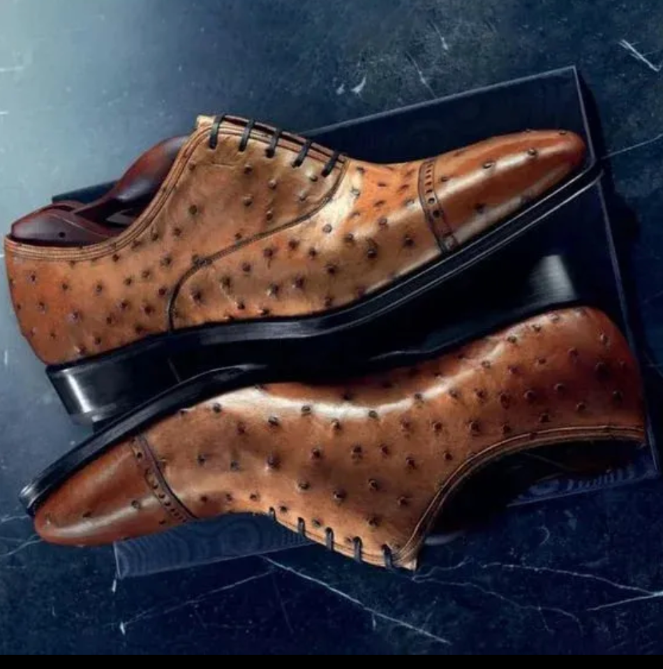 Exotic Leather Oxford Brogue Shoes for Men – ColinShoes