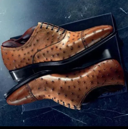 Exotic Leather Oxford Brogue Shoes for Men – ColinShoes