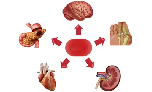 1726751486984307.png 未命名 (1).png