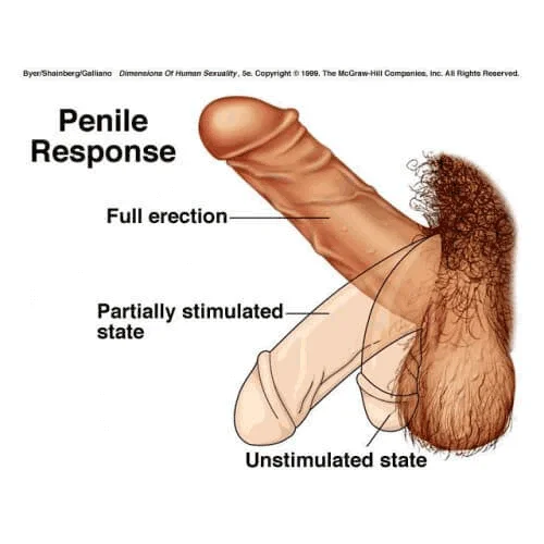 Изграждане на уебсайт с една страница COD, Контакти QQ: 494906791 / WeChat: Cod_web