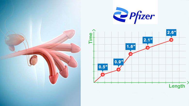 Изграждане на уебсайт с една страница COD, Контакти QQ: 494906791 / WeChat: Cod_web