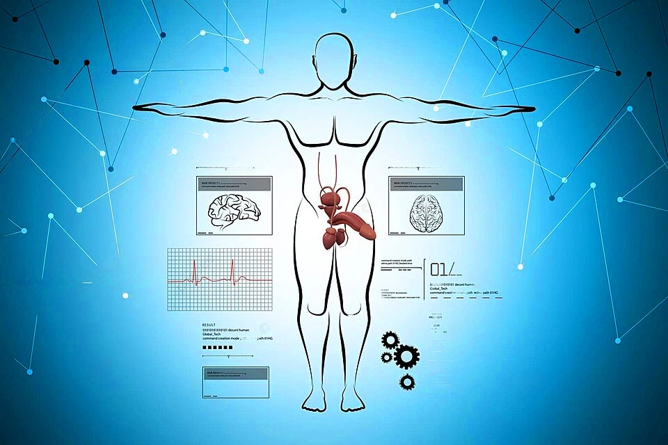 Изграждане на уебсайт с една страница COD, Контакти QQ: 494906791 / WeChat: Cod_web
