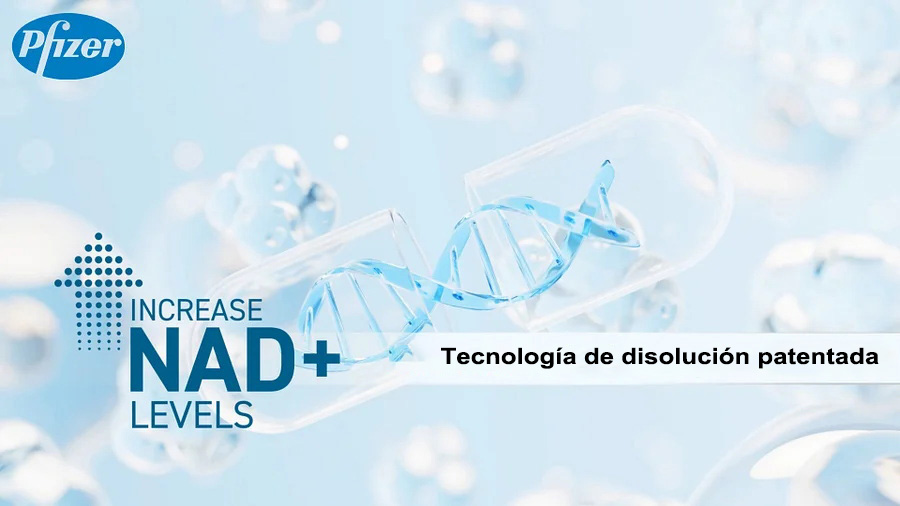 COD单页系统建站,联系QQ：494906791/微信：Cod_web