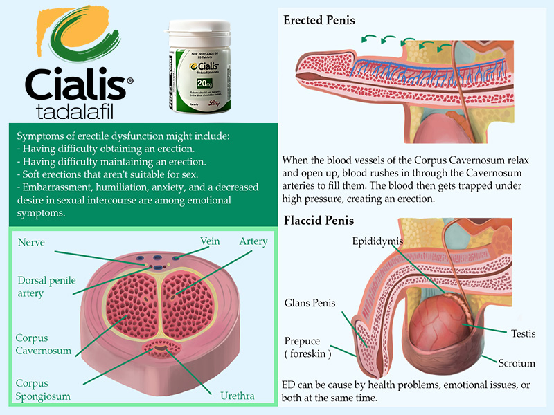 Изграждане на уебсайт с една страница COD, Контакти QQ: 494906791 / WeChat: Cod_web