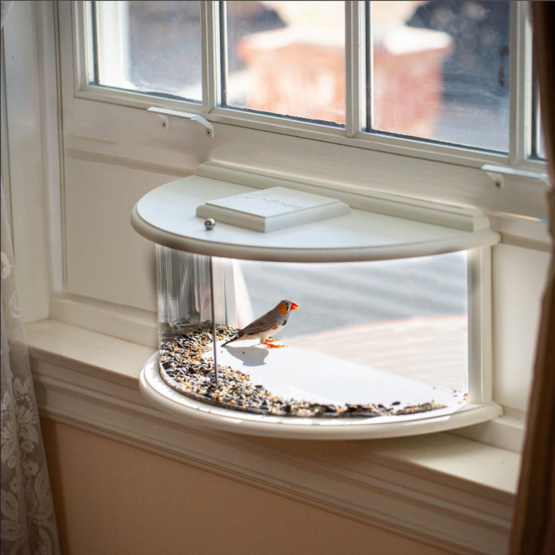 Window Bird Feeder