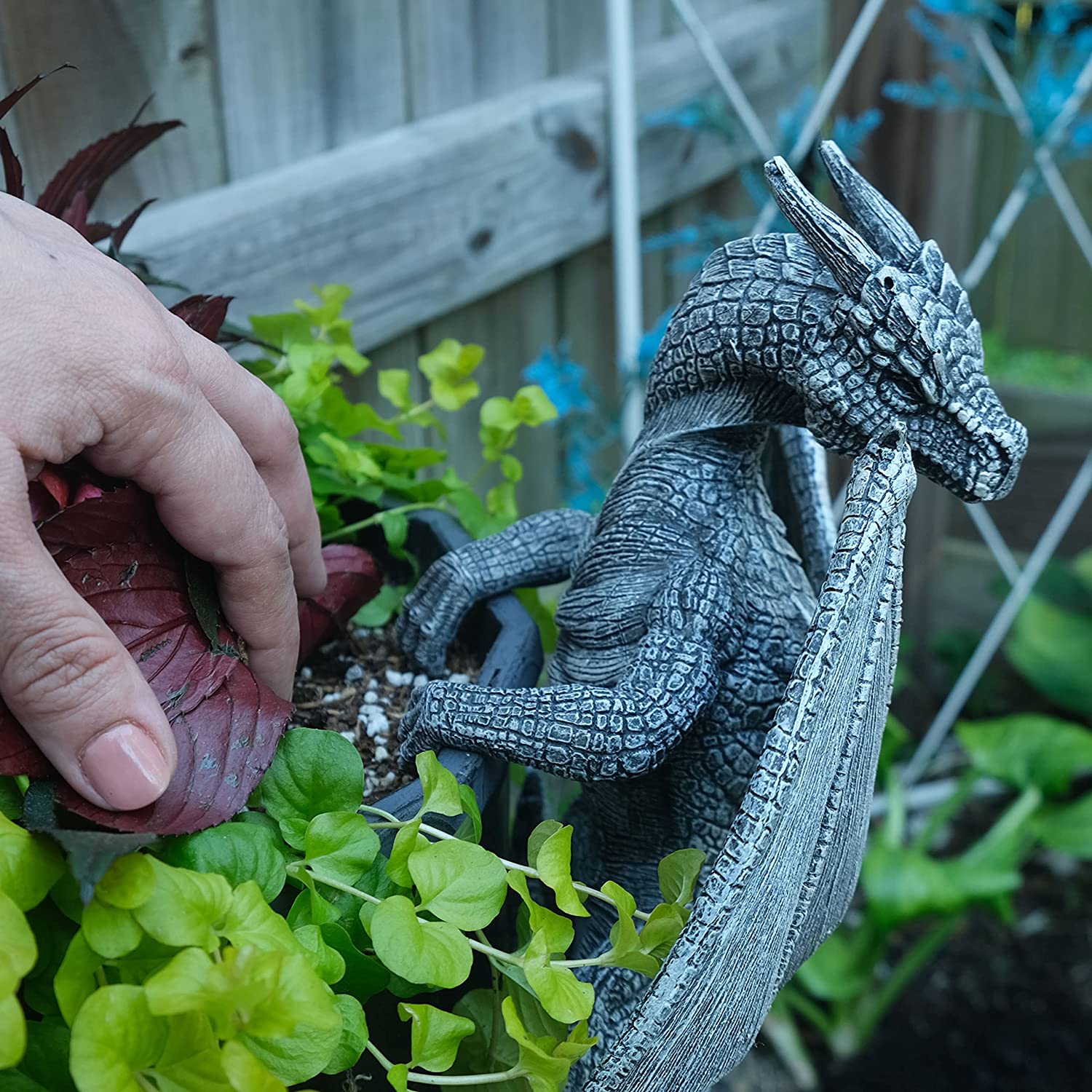 ⏰New Years Sale 40% OFF🔥Dragon Winged Gargoyle Fence Hanger