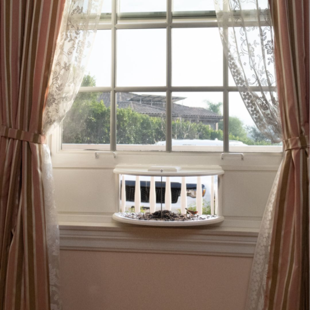 Window Bird Feeder