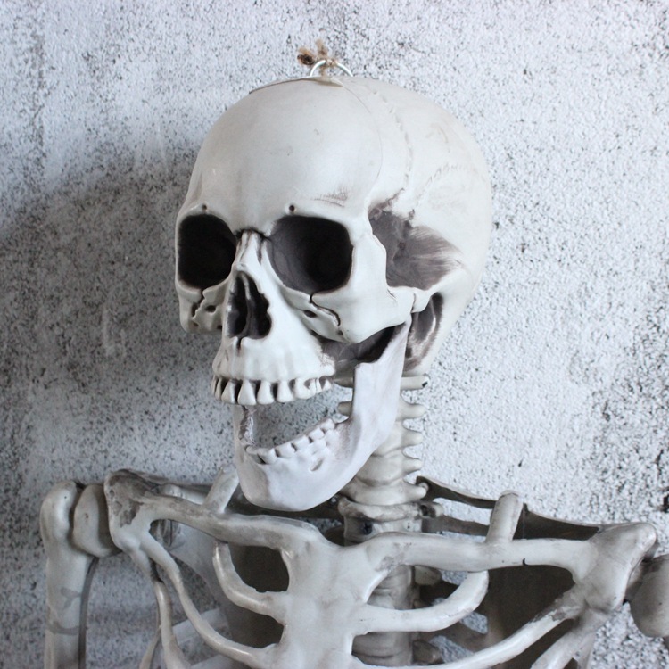 Outdoor Halloween Skeleton Display