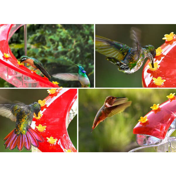💥2023 Latest Model💥 - Helix 32-Port Hummingbird Feeder