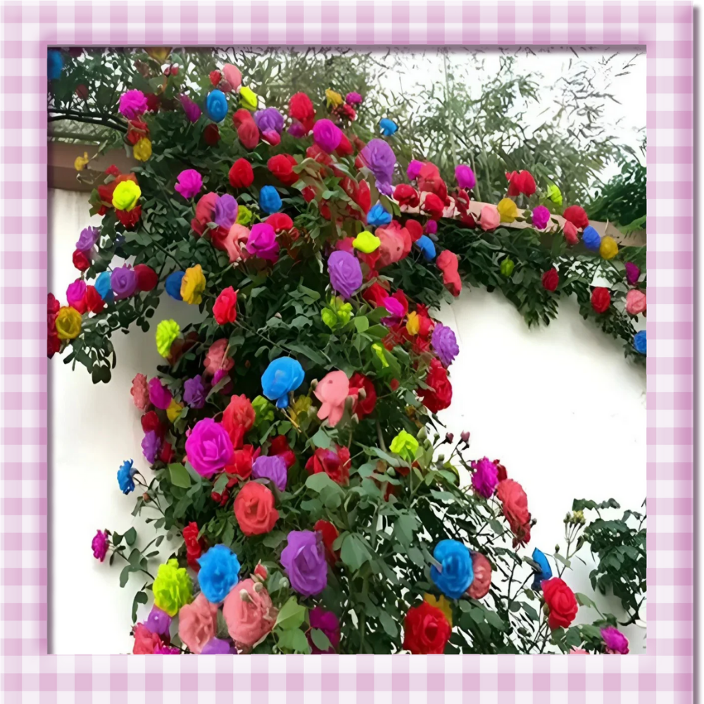 🌸 Climbing Rose Seeds – Create a Blooming Vertical Garden at Home