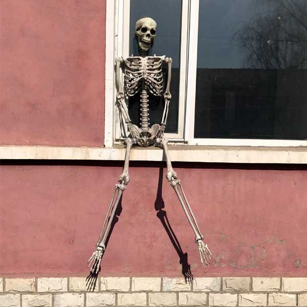 Outdoor Halloween Skeleton Display