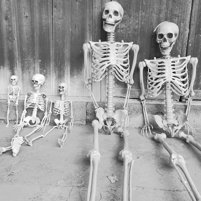 Lifelike Halloween Skeleton Decoration