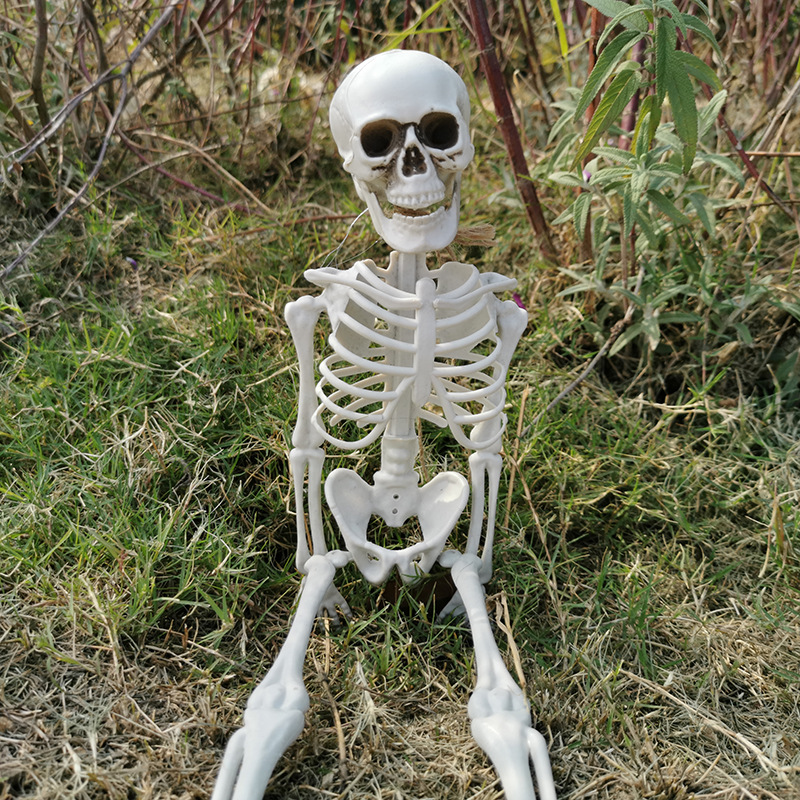 Lifelike Halloween Skeleton Decoration