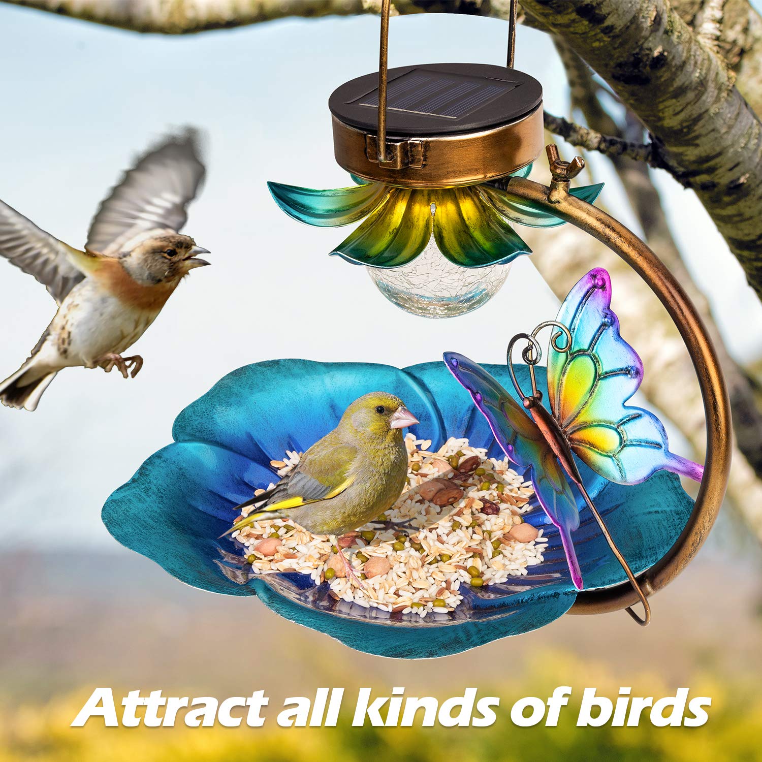 Solar Bird Feeder for Outside Hanging Wild Bird feeders
