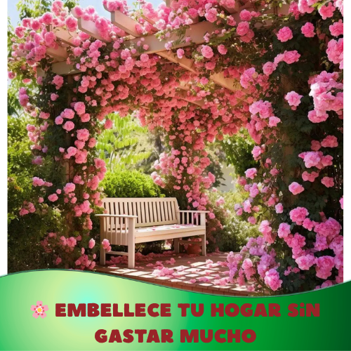 🌸 Climbing Rose Seeds – Create a Blooming Vertical Garden at Home