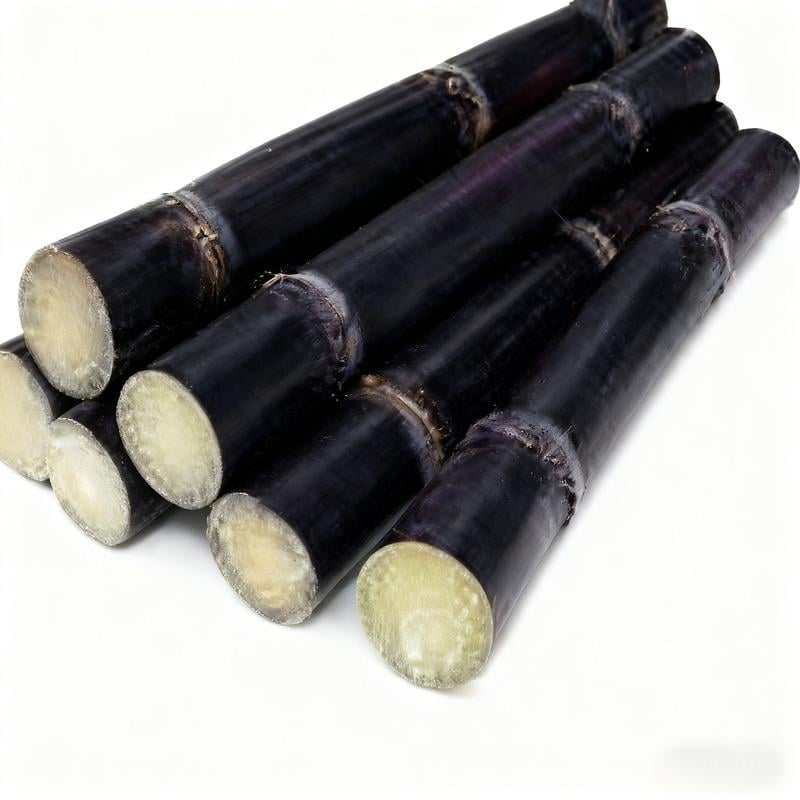 ❤️Sweet Harvest Starter Kit 🍃 Sugarcane Seeds✨Beginner-Friendly