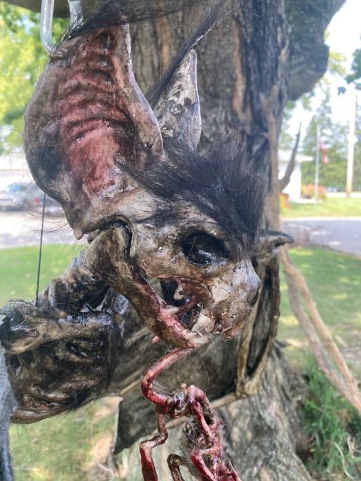 BAT skeleton Giant black skeleton Bat huge