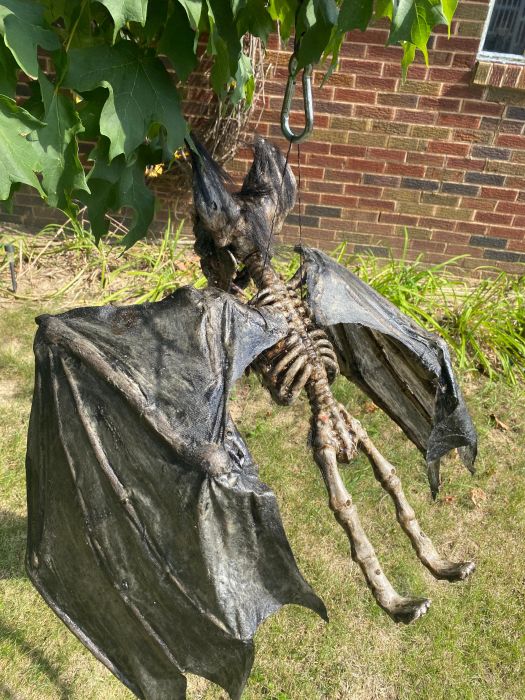 BAT skeleton Giant black skeleton Bat huge