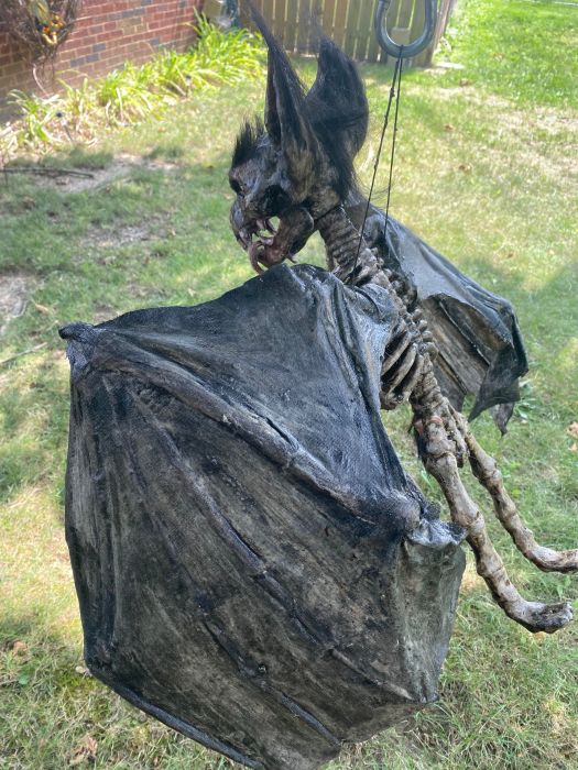 BAT skeleton Giant black skeleton Bat huge