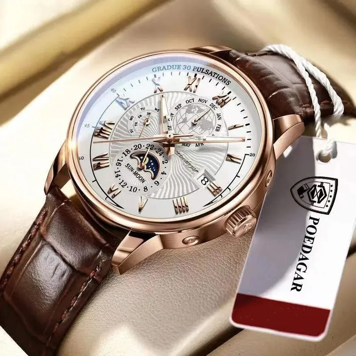 POEDAGAR Brand Swiss Official Certification Waterproof Luminous Men's Mechanical Quartz Watch