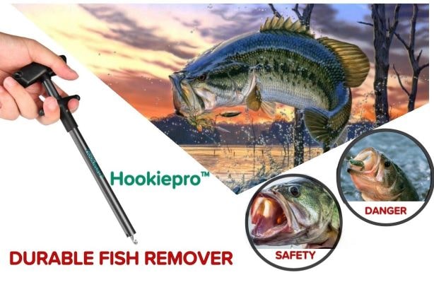  Easy Fish Hook Remover